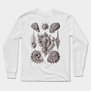 Ernst Haeckel Prosobranchia Sea Shells Aubergine Long Sleeve T-Shirt